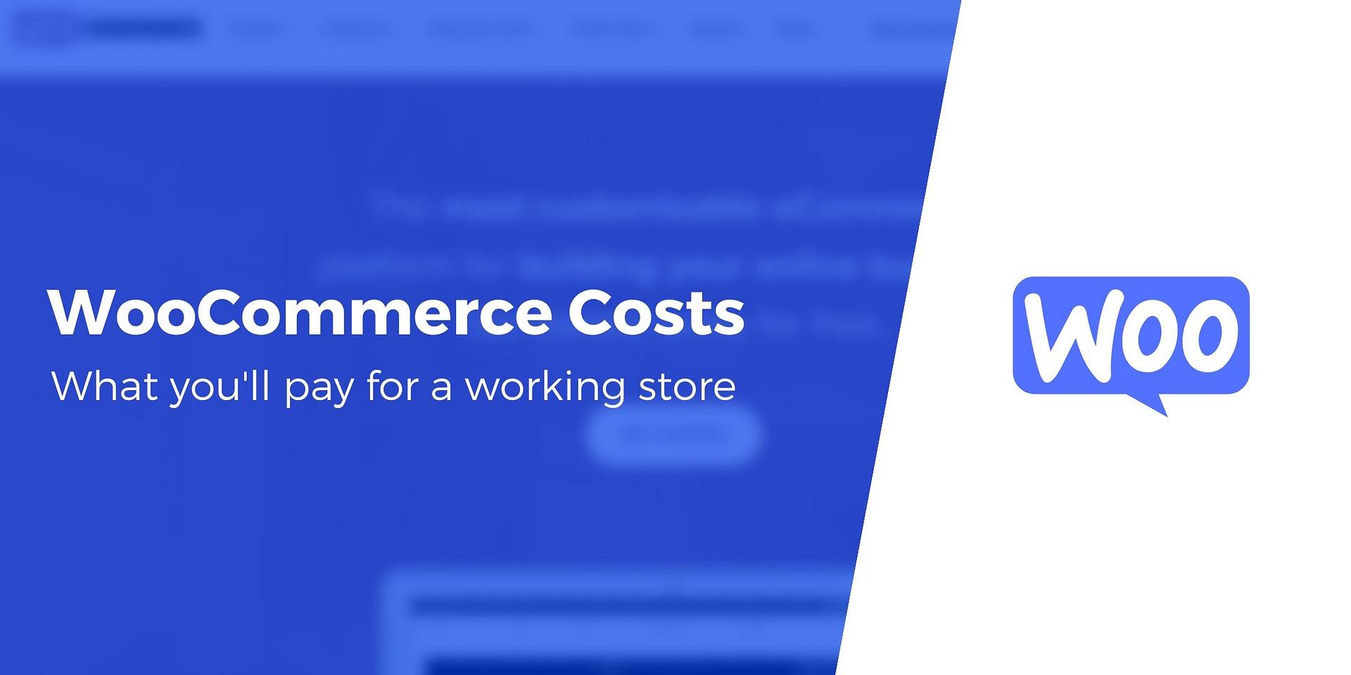 Hidden‍ Costs of Running a WooCommerce Store