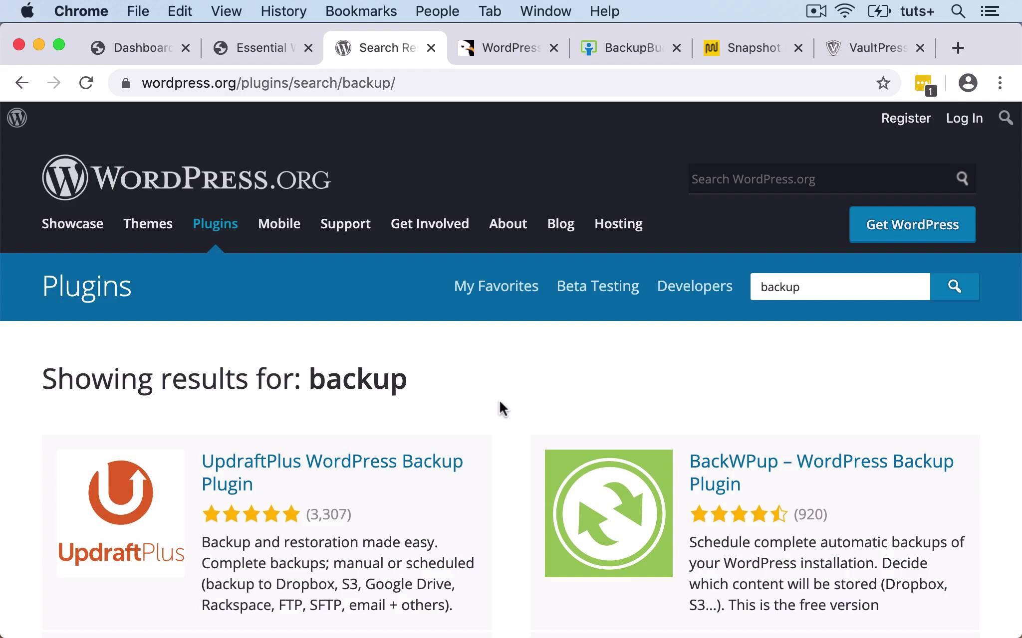 Key Features to Look for in a WordPress Backup Plugin