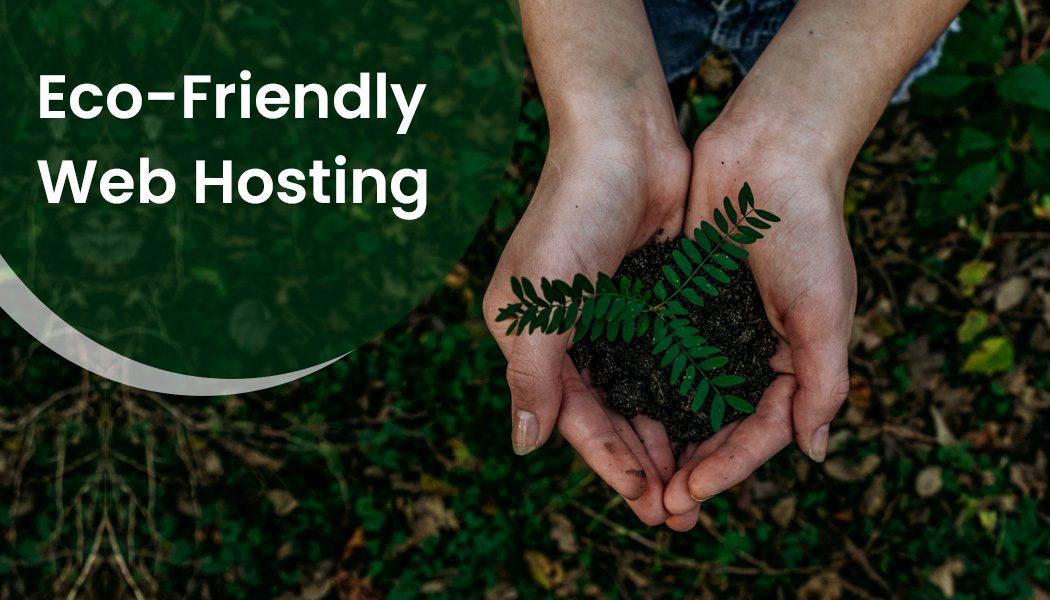 Success Stories: Businesses Thriving with Eco-Friendly Hosting