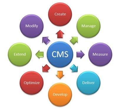 Exploring Content Management Systems for Beginners