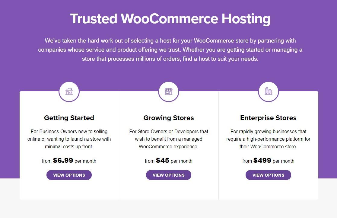 Understanding‍ the Basics of WooCommerce Pricing