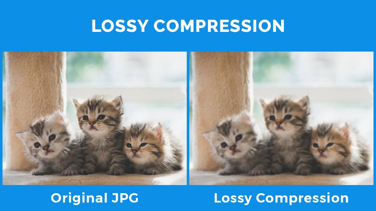 Best Practices for Image Compression Without Losing Quality