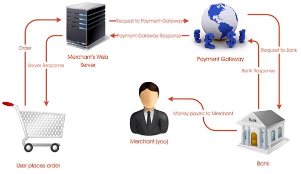 Ecommerce Payment Gateway: Must Have Features and Examples