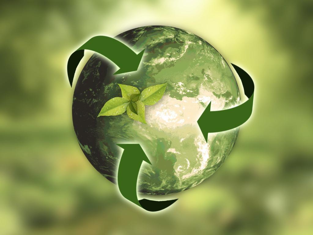 Sustainability Matters: How ⁤Green Practices Influence Purchases