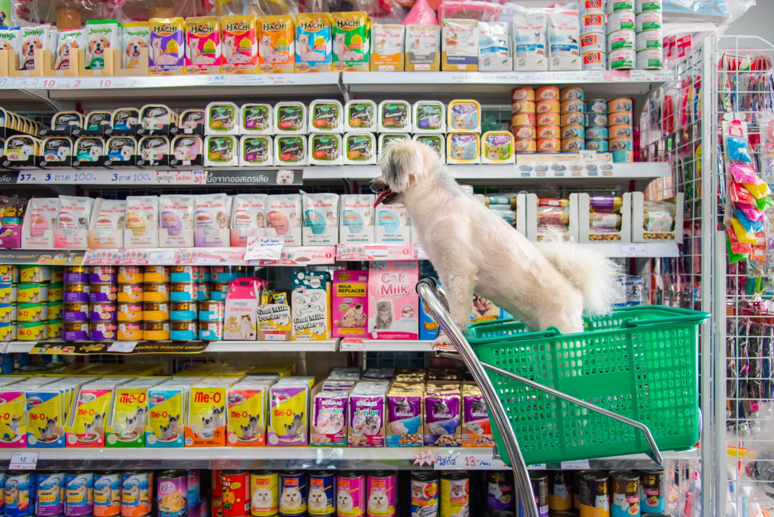 Leveraging Technology to Streamline Your Pet​ Retail Operations