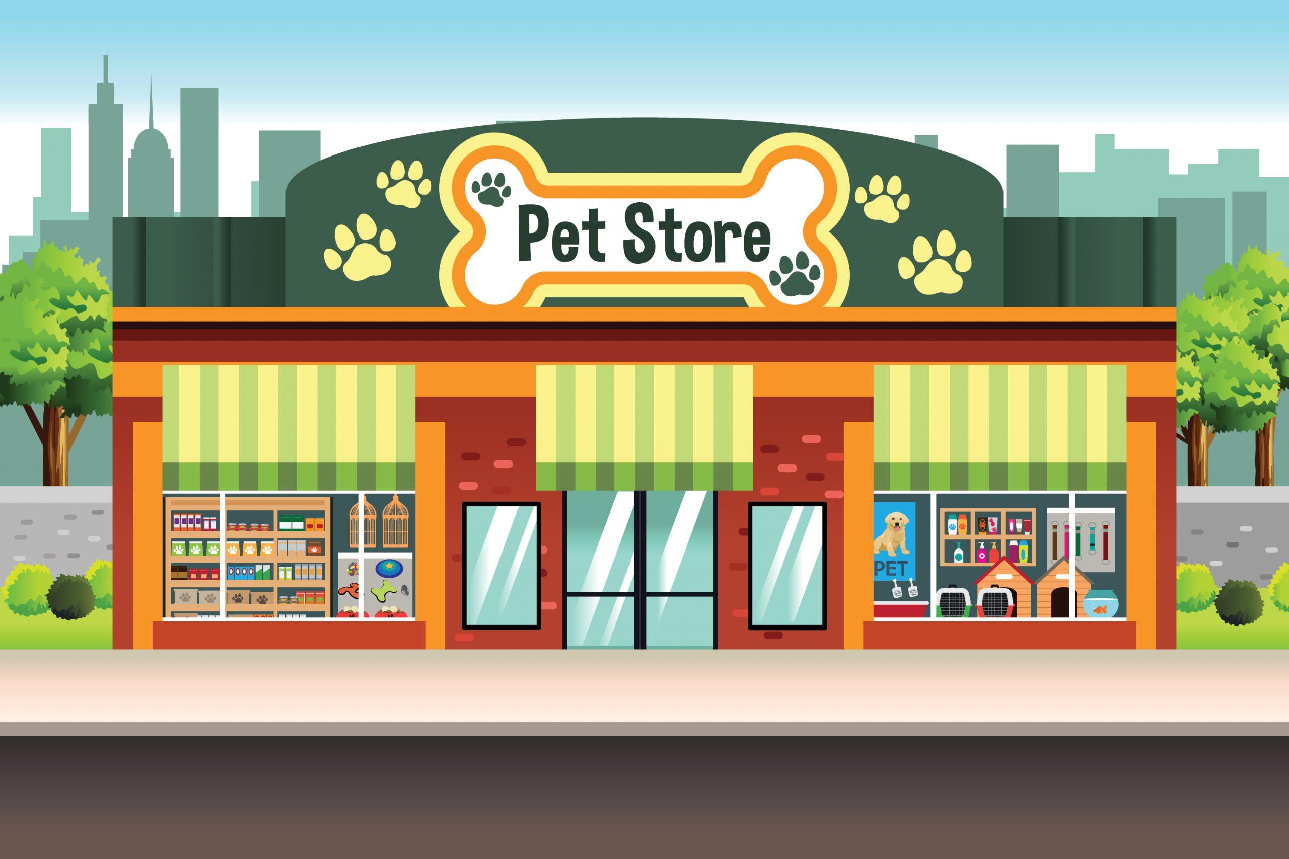 Crafting an Irresistible Online Store​ for Pet Lovers