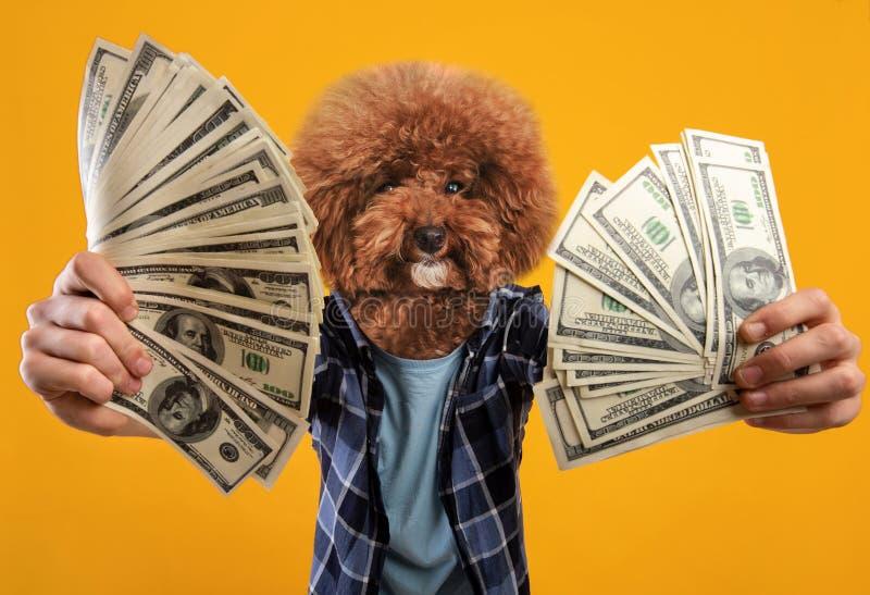 How to Make Money With Your Dog: 7 Fun Ways (Instagram & Beyond)