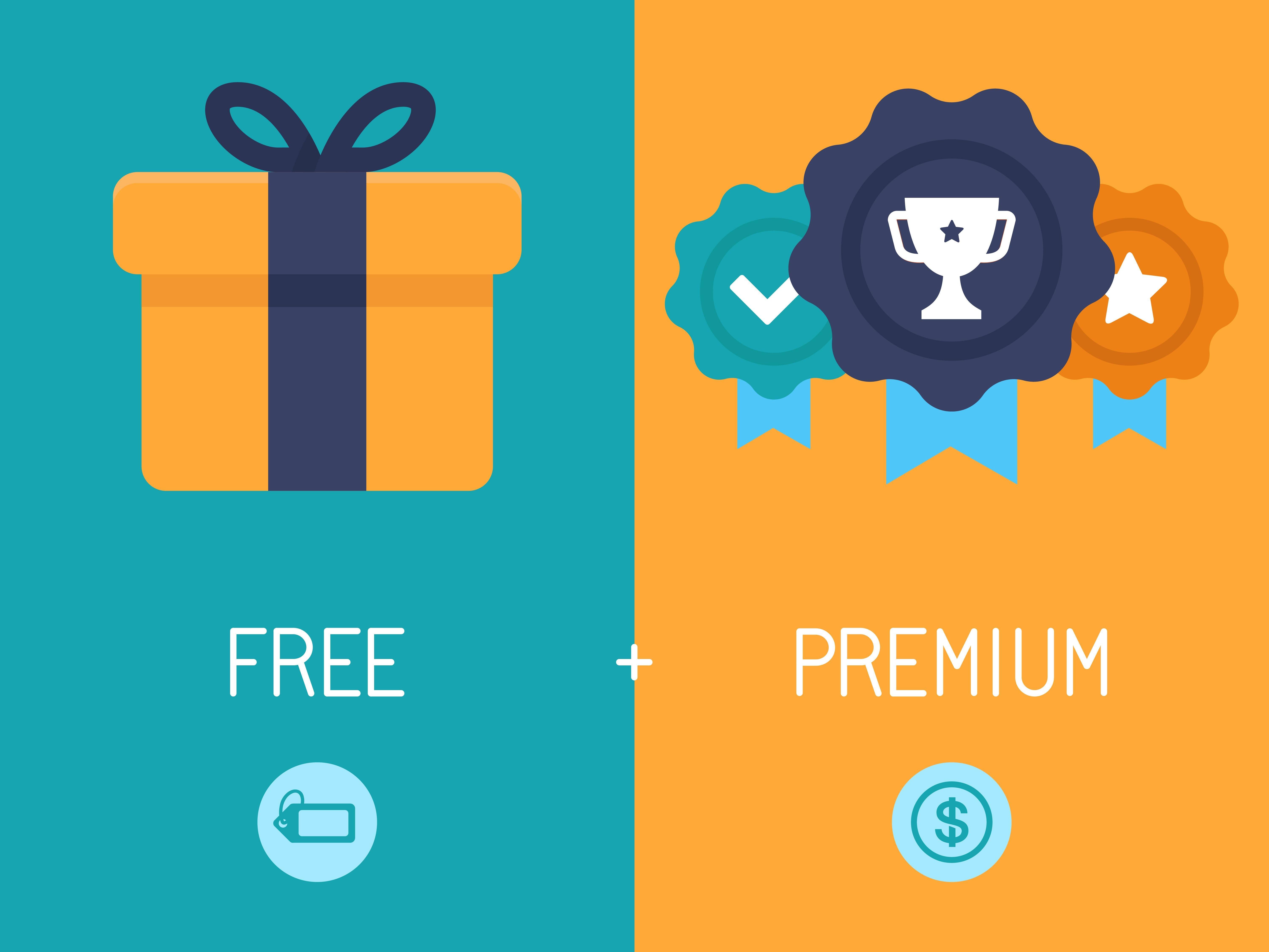 Creating a Freemium​ Model that Attracts Users