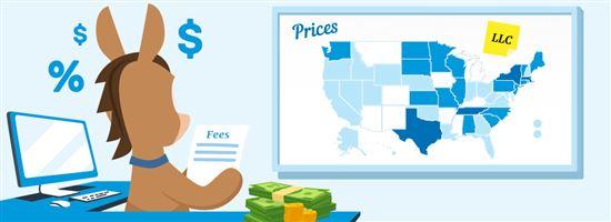 Understanding the Basics of LLC Formation Costs