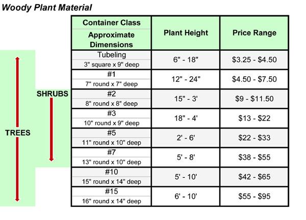 Mastering the Art of Pricing Your Plants Competitively