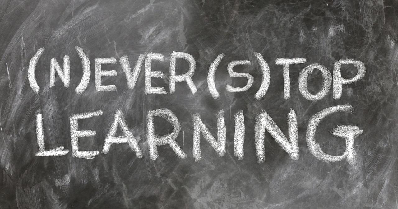 Continuous Learning: Staying Ahead in the Handbag Market