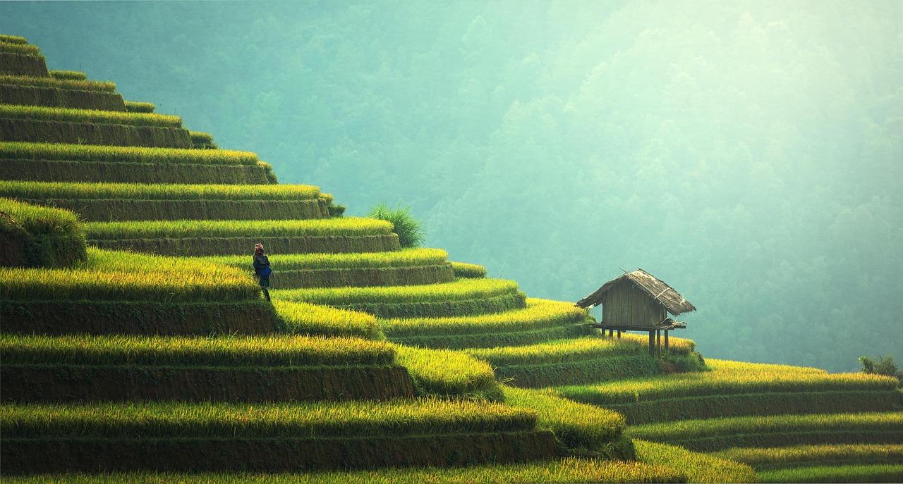 Scaling Your‌ Business: Tips for‌ Sustainable⁣ Growth