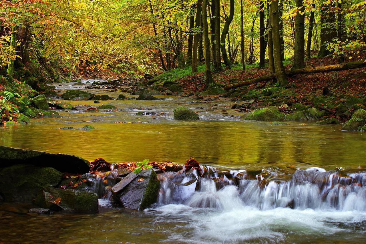 Staying Ahead of the⁤ Competition: Trends to Watch in Tourism
