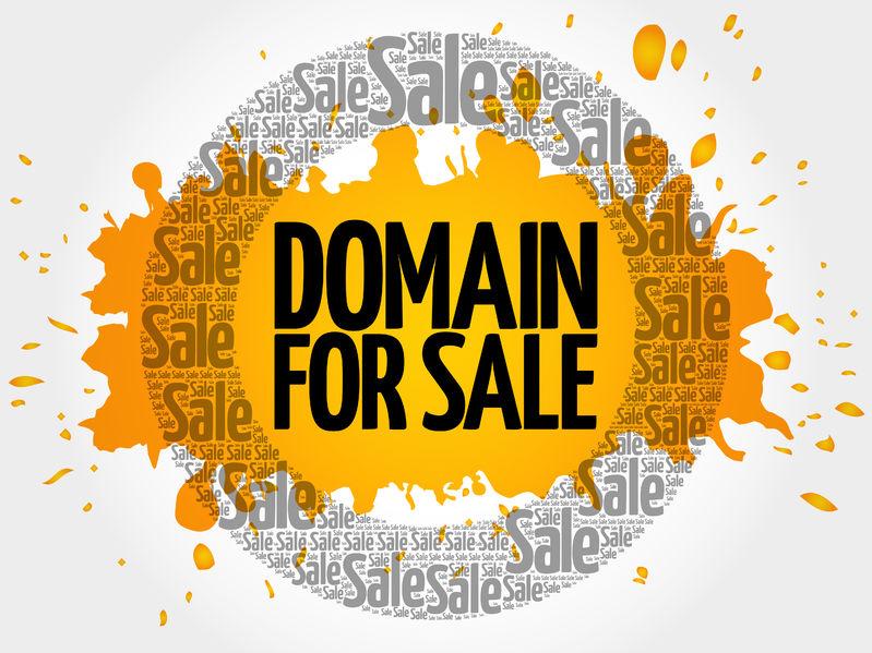 Success Stories:​ Learning from Top Domain Sellers