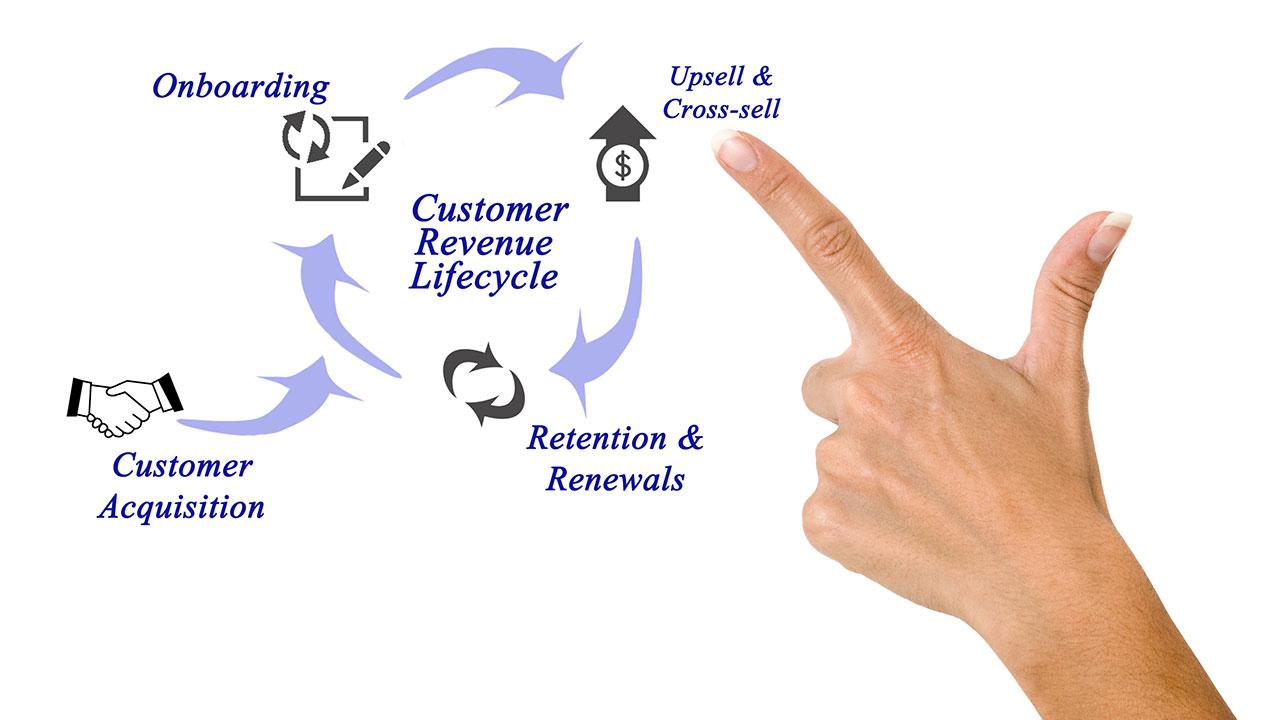 Leveraging Data to Drive Upselling and Cross-Selling Efforts