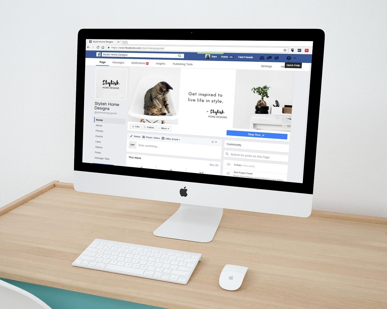 Utilizing Social Media to Showcase Your Products
