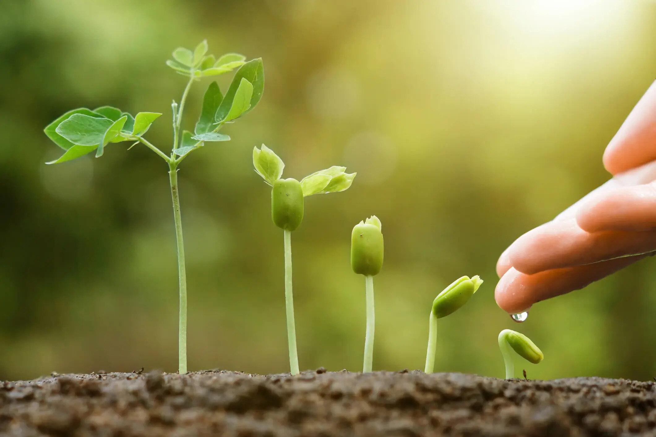 Nurturing ‍Your Growth and Embracing Continuous Learning