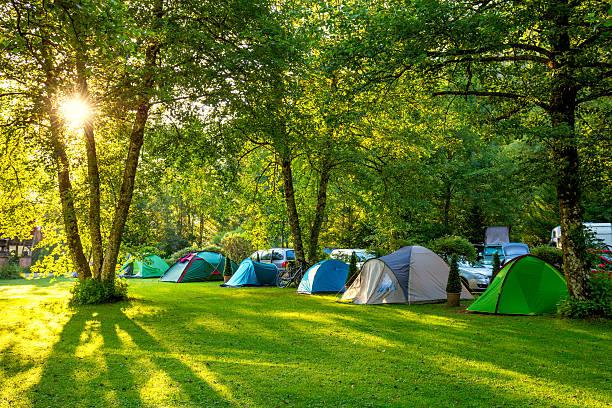 Understanding the Camping ‌Business Landscape in current_year