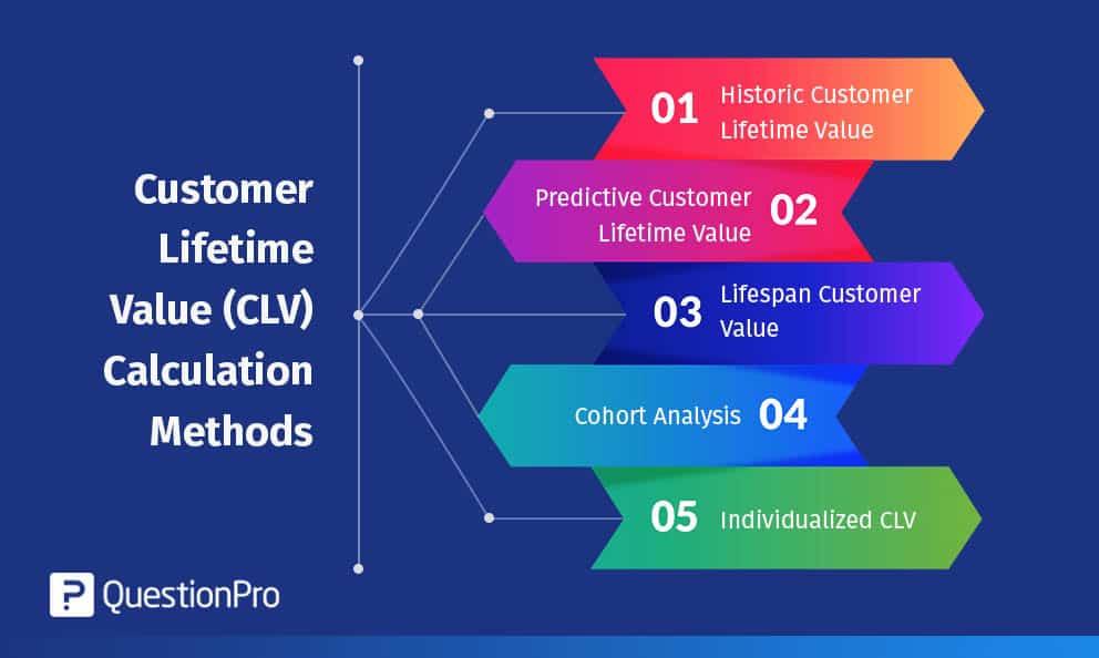 Customer Lifetime Value: The Practical Guide (Calculation & Tips)