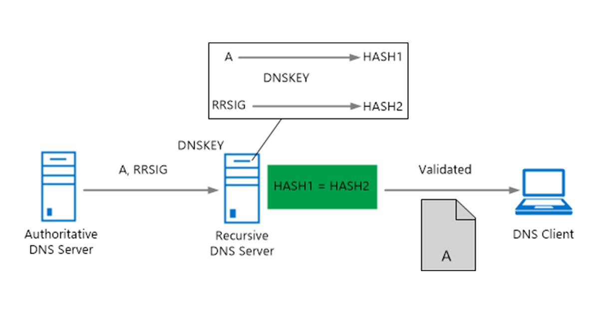 Security and Privacy Extensions Every Productive User Needs