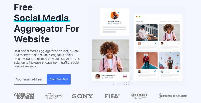 How⁣ to Choose the‍ Right Social Media Plugin for Your Needs