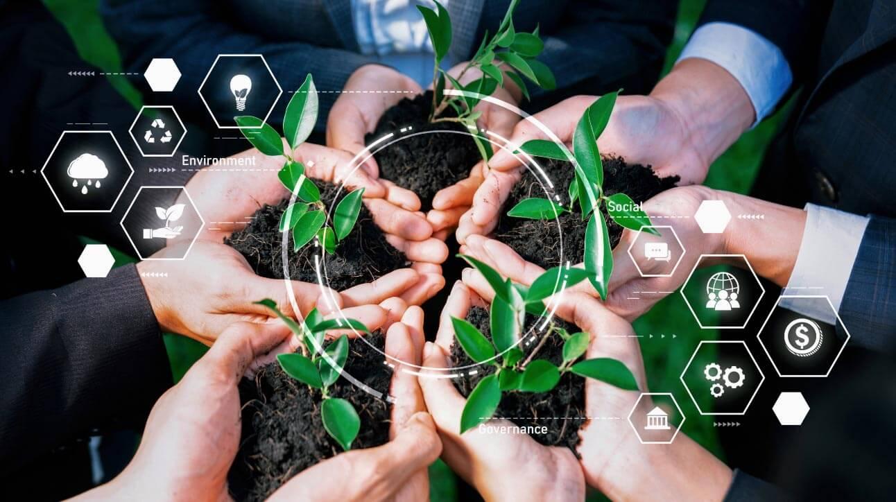 Implementing Sustainability as a Brand Value