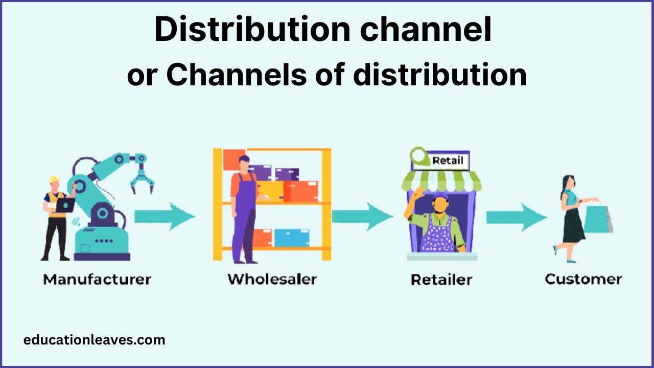 Setting Up Distribution Channels for Maximum Reach