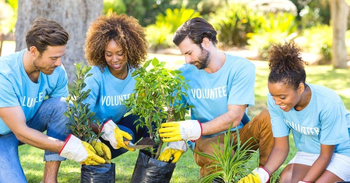 Gaining Practical Experience through Volunteer Opportunities