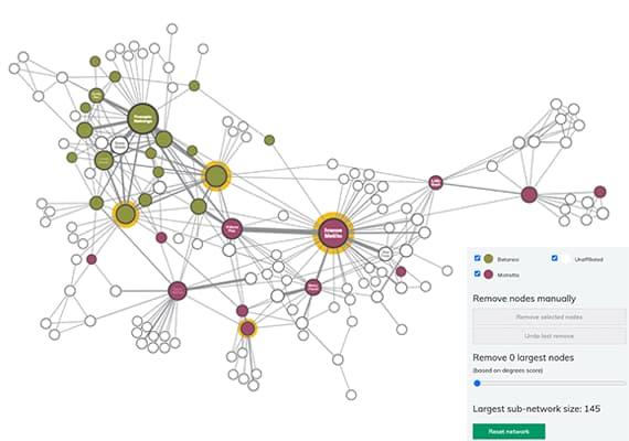How Link Analysis ⁣Can Boost Your Strategy