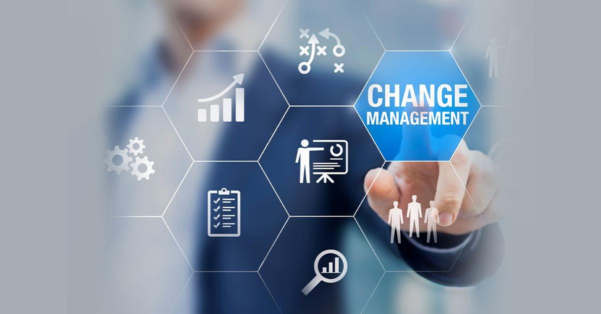 Embracing Change and Innovation in Your Business Model