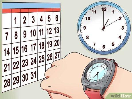 Setting Realistic Goals and Tracking Progress