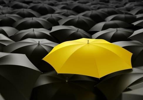 Researching for Uniqueness and Availability