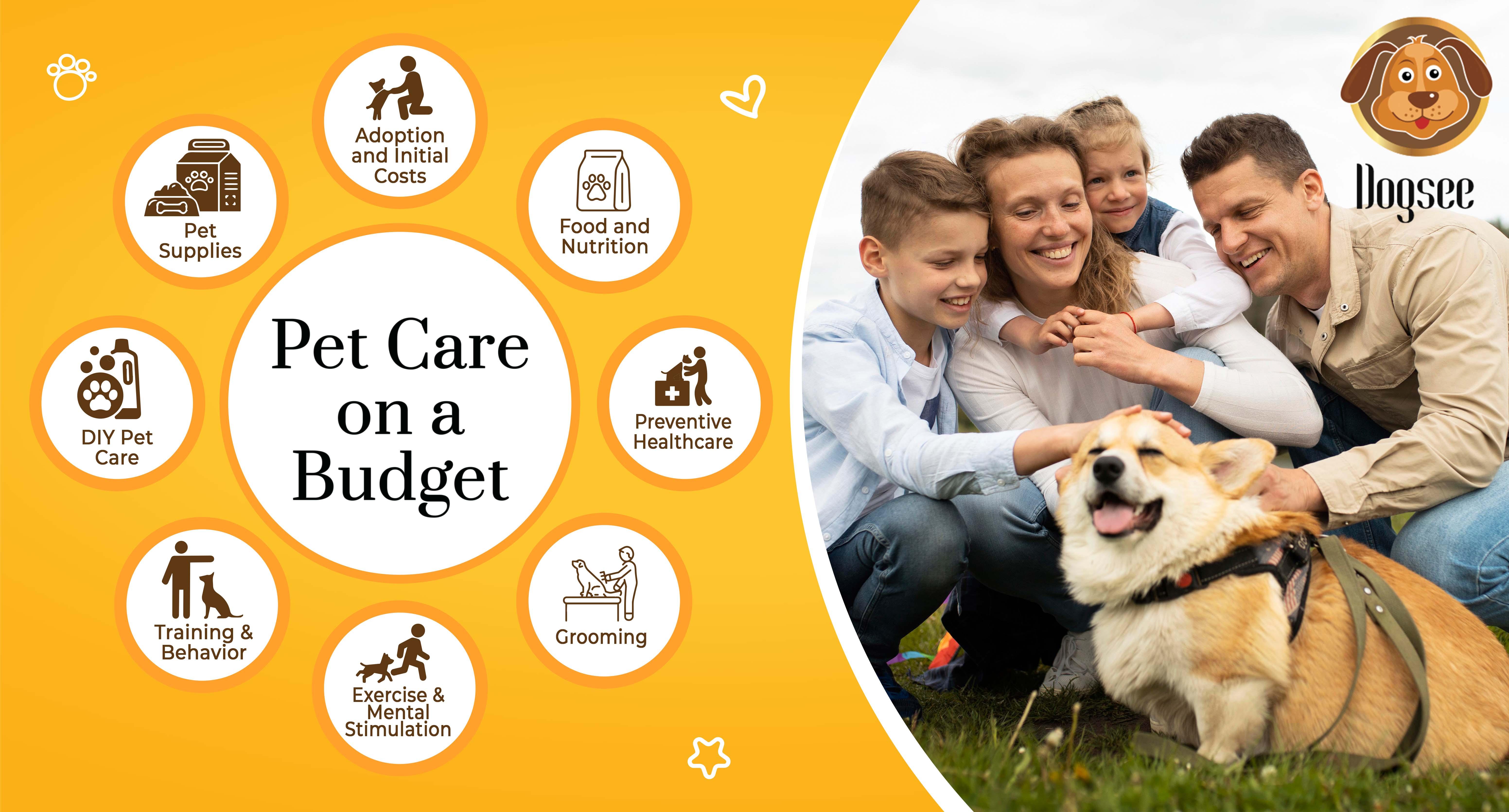 Pet ​Services: Furry Friends and Profitable Ventures