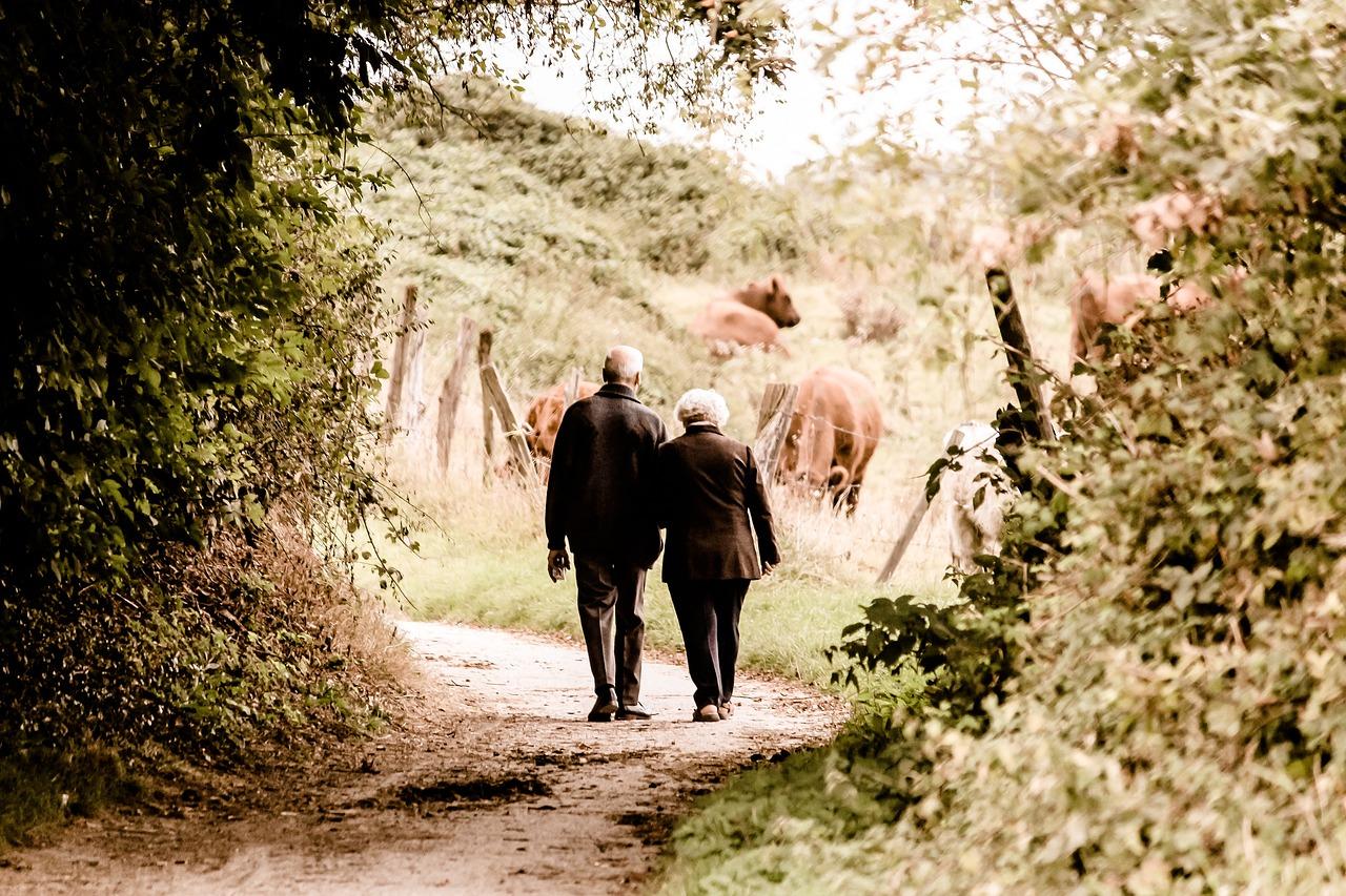 The⁤ Joy of Teaching: Tutoring and Coaching for Retired Couples