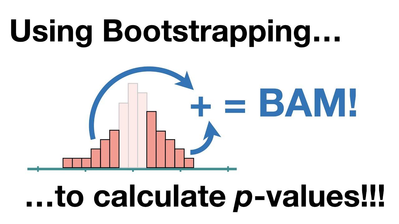 Learning from Failure: Embracing Risks in Your Bootstrapping Journey