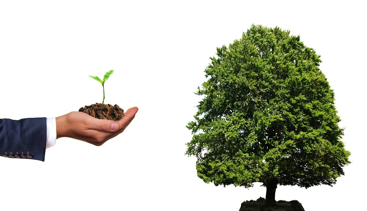 Identifying Growth Potential:⁤ Future Earnings‍ Matter