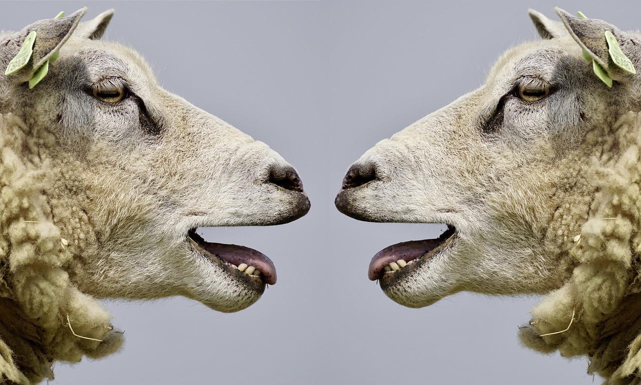 The Importance ⁤of Communication in the⁤ Hiring Process