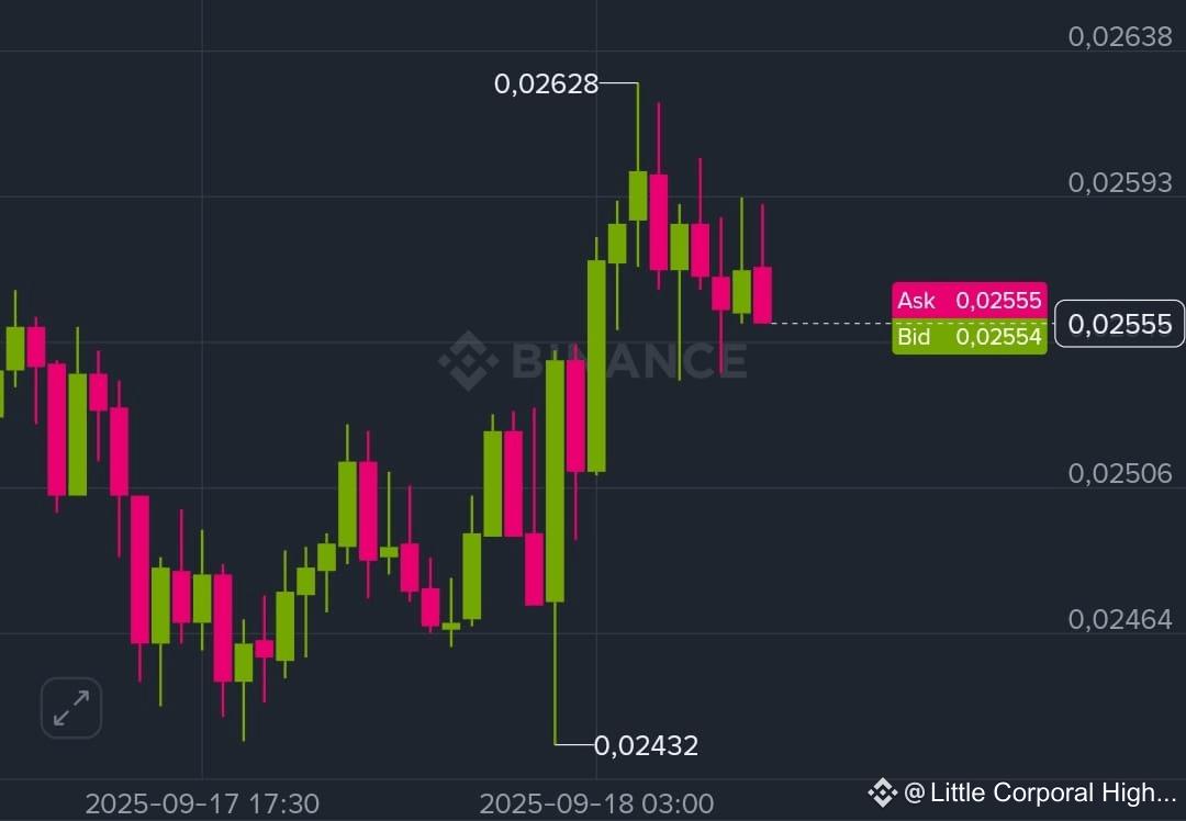 Risk Factors to ‌Consider Before Investing‌ in LINEA