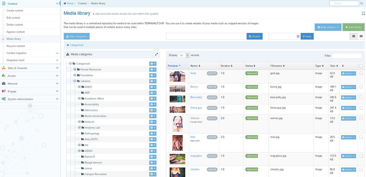 Maximizing Your Media Librarys Potential with Accessibility⁢ Features