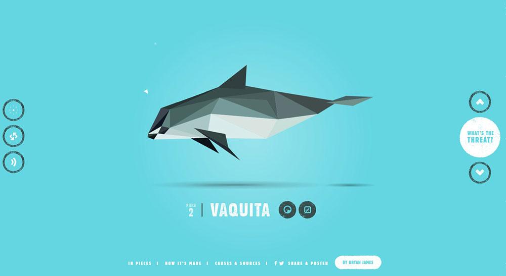 Launching ​Your ‌Interactive Website ⁤with a​ Bang