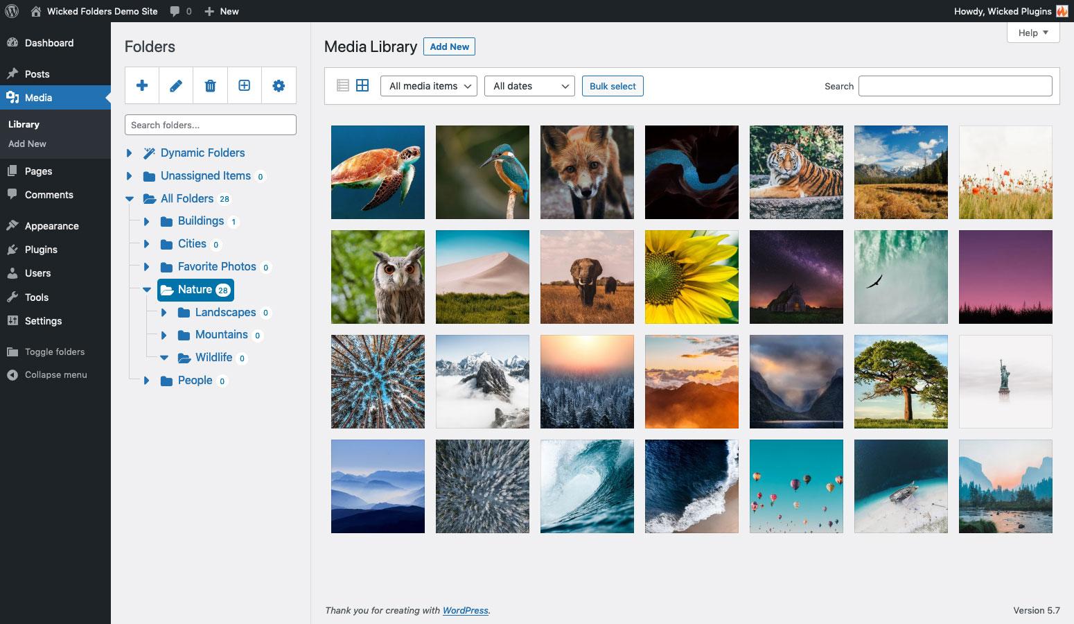 Best Practices for Naming and Structuring Your ​Media Folders