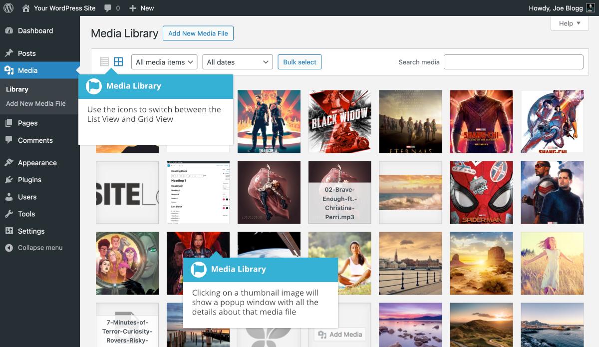 Future-Proofing Your⁢ Media Library with Regular Updates