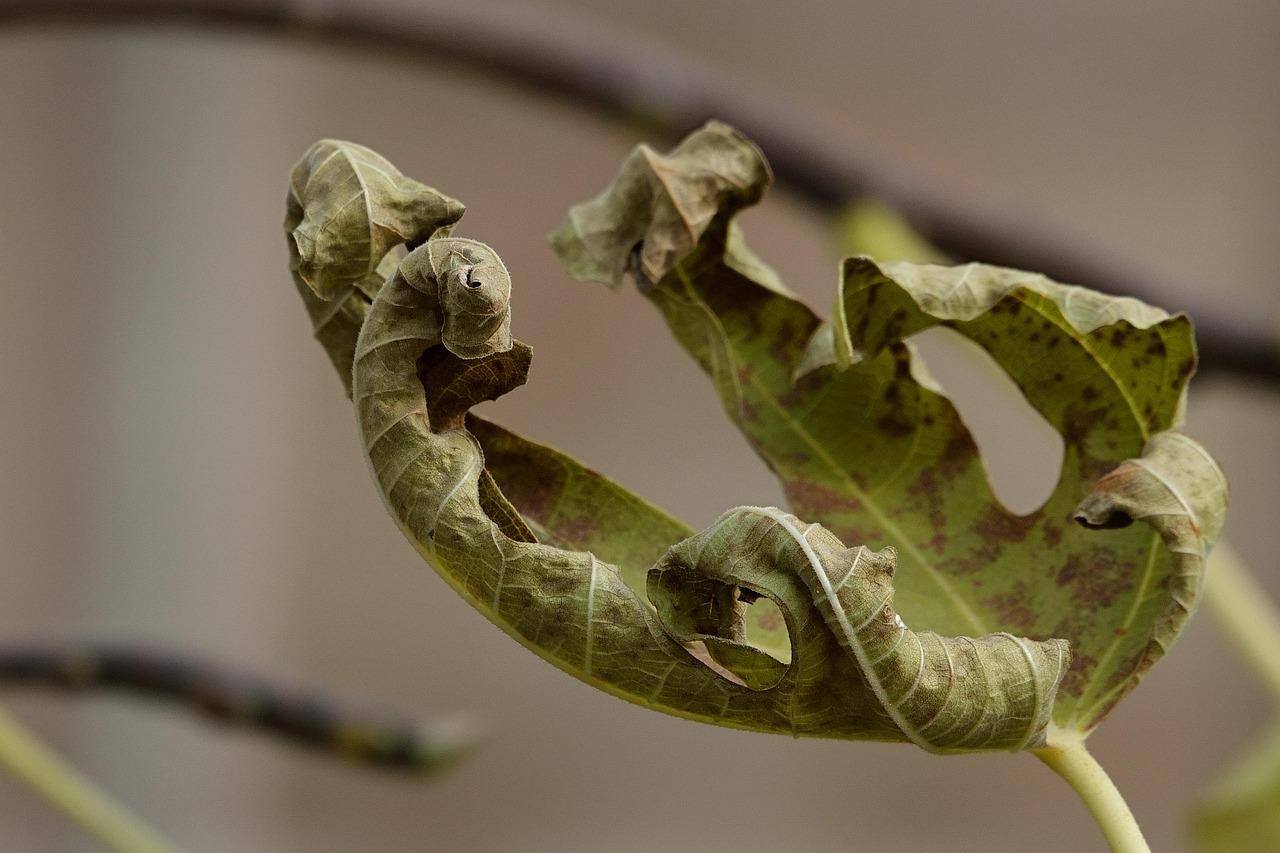 The ⁣Role of Context in Shaping Your Prompts