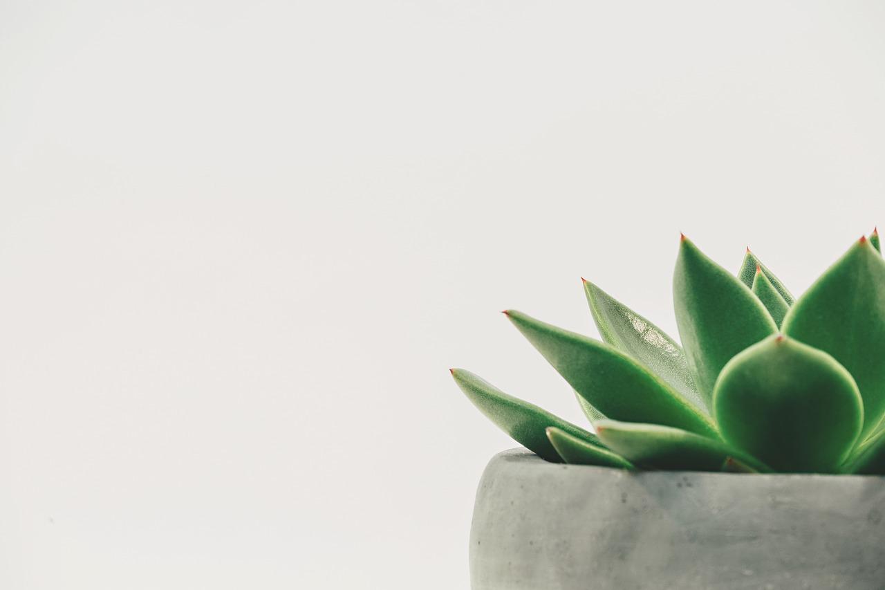 Utilizing White Space for an Engaging​ User Experience