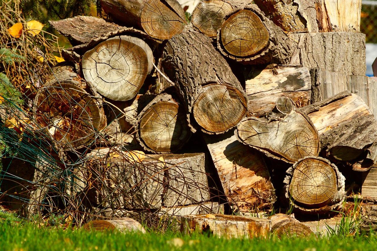Managing Multiple ‌Log Files: Best Practices for Organization
