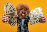 How to Make Money With Your Dog: 7 Fun Ways (Instagram & Beyond)
