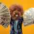 How to Make Money From an App: 11 Clever Ways to Monetize